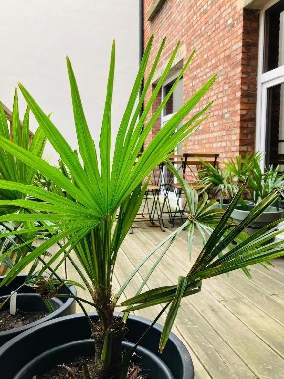 Bnb Suikernest Anvers Extérieur photo